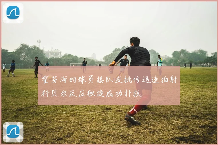 霍芬海姆球员接队友挑传迅速抽射科贝尔反应敏捷成功扑救
